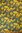 Silkkisatiini painettu paisley-ruusu keltainen