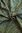 Tweed boucle "chanel" vihreä-ruskea