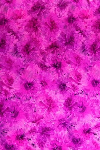 Silk satin printed fuchsia flowers